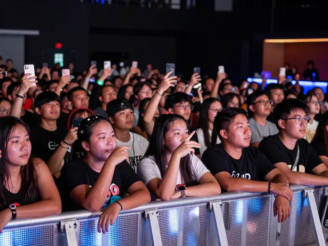 What Is the VIP Pit at a Concert? Everything You Need to Know